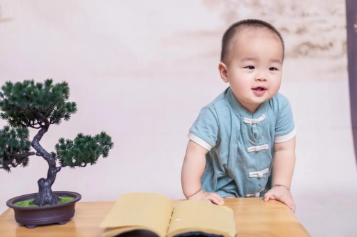 肇州可爱的企鹅宝宝